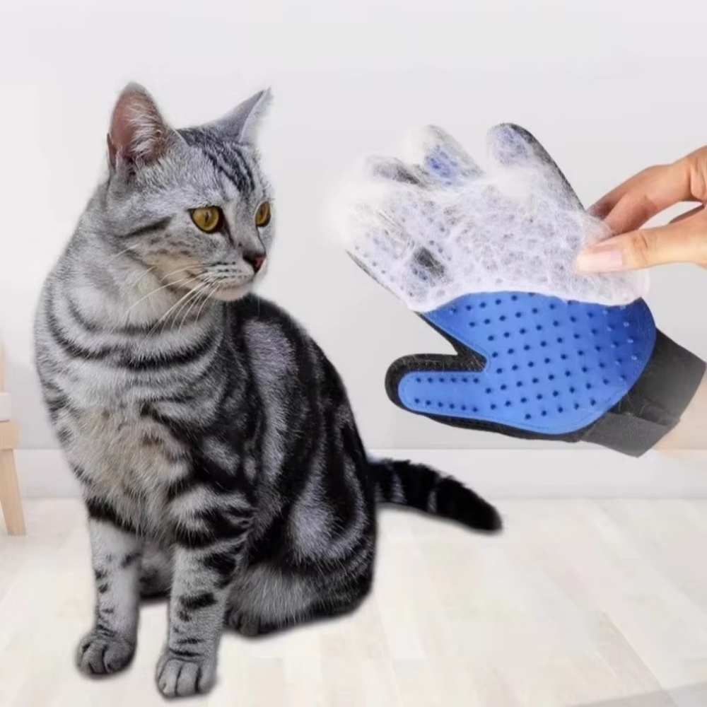 الحيوانات الأليفة القط الكلب ا - مراجعة Rubber Glove Cleaning وسعره
