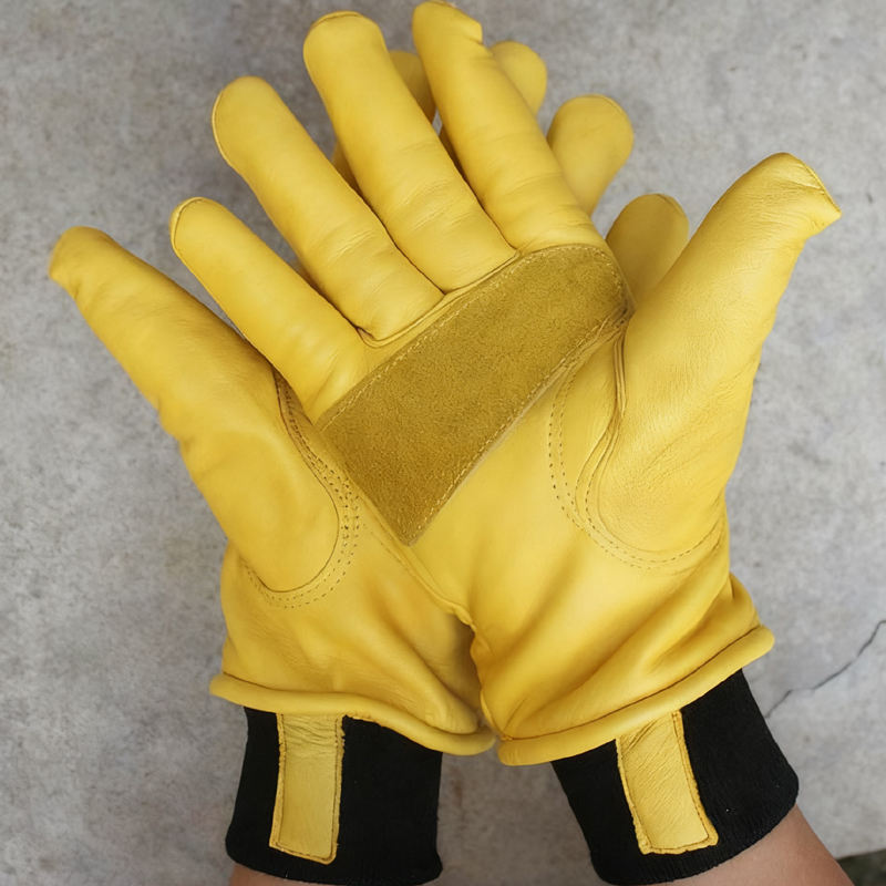 قفازات شتوية للرجال للدراجات ا - مراجعة Winter Glove Insulated وسعره