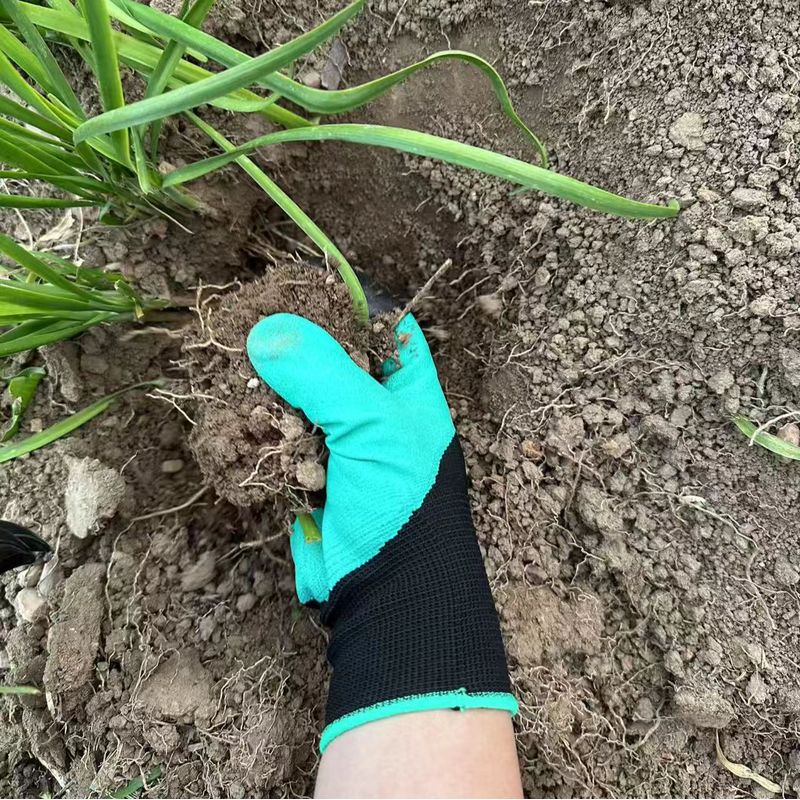 قفازات حدائق مزودة بأظافر مدمج - مراجعة Gardening Glove Waterproof وسعره